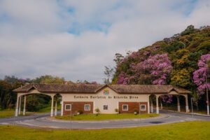 Galeria banco-de-imagens